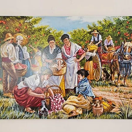 Unique ! Proche Centre Maison Avec Jardin * Montpellier