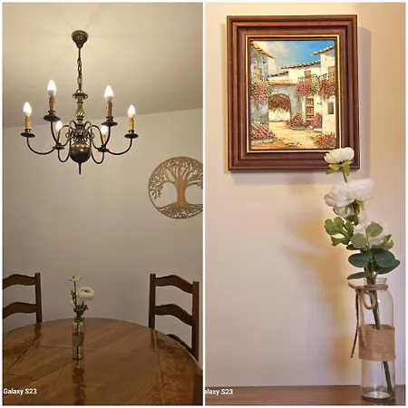 Appartement Unique ! Proche Centre Maison Avec Jardin